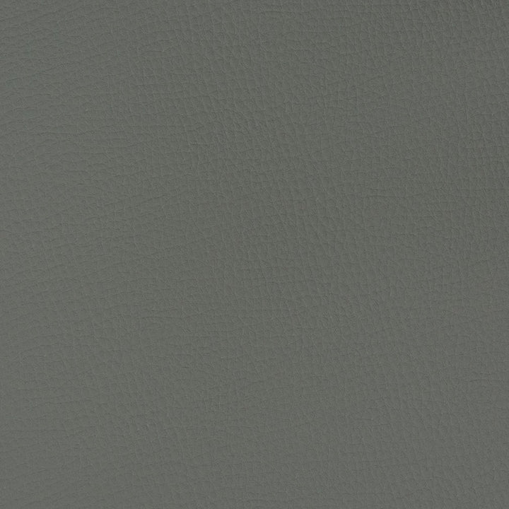 V362 Graphite by Charlotte Fabric Automotive Vinyl 100% Vinyl, 30oz. Asia Exceeds 220,000 Wyzenbeek Rubs (Heavy Duty) </p><p>Repeat: No Repeat 54 Inches - Fabric Carolina -