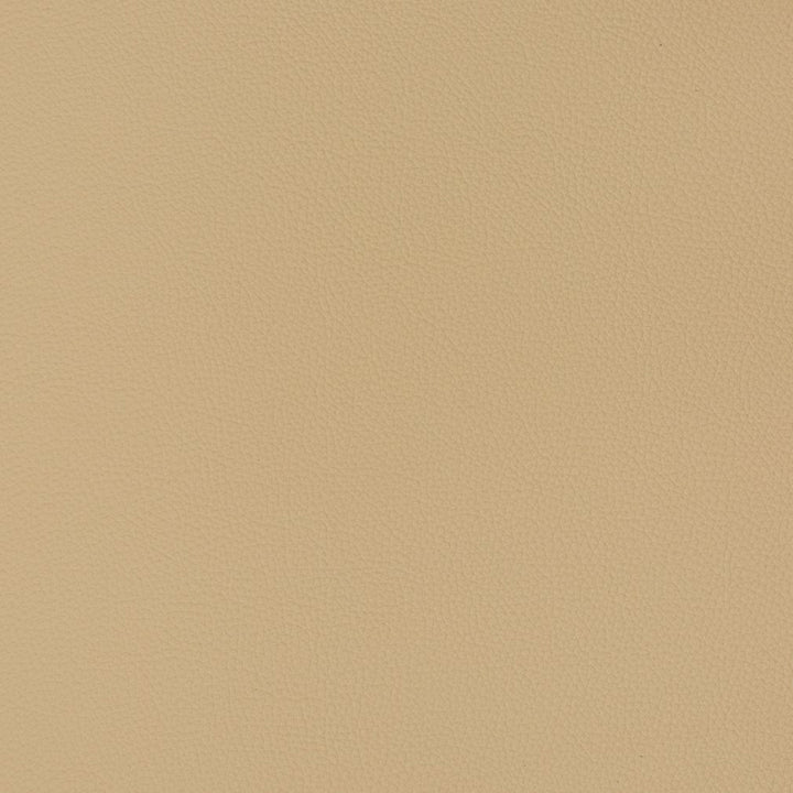 V363 Cashmere by Charlotte Fabric Automotive Vinyl 100% Virgin Vinyl, 30oz. Asia Exceeds 220,000 Wyzenbeek Rubs (Heavy Duty) No Repeat 54 Inches - Fabric Carolina -