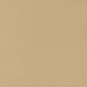 V363 Cashmere by Charlotte Fabric