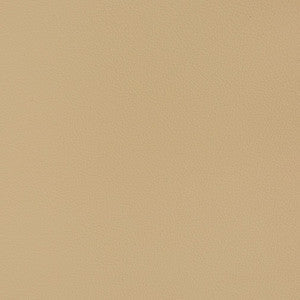 V363 Cashmere by Charlotte Fabric