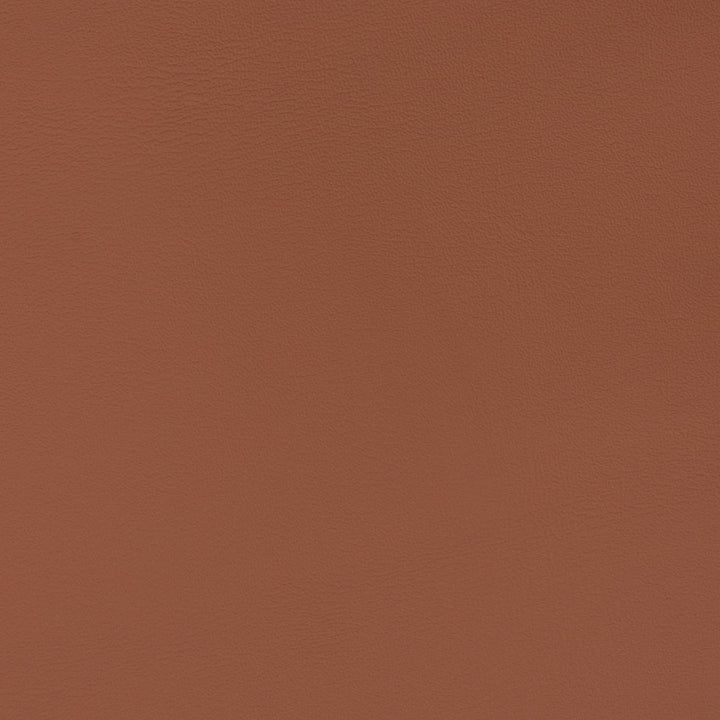 V366 Adobe by Charlotte Fabric Automotive Vinyl 100% Vinyl, 30oz. Asia Exceeds 220,000 Wyzenbeek Rubs (Heavy Duty) </p><p>Repeat: 54 Inches - Fabric Carolina -
