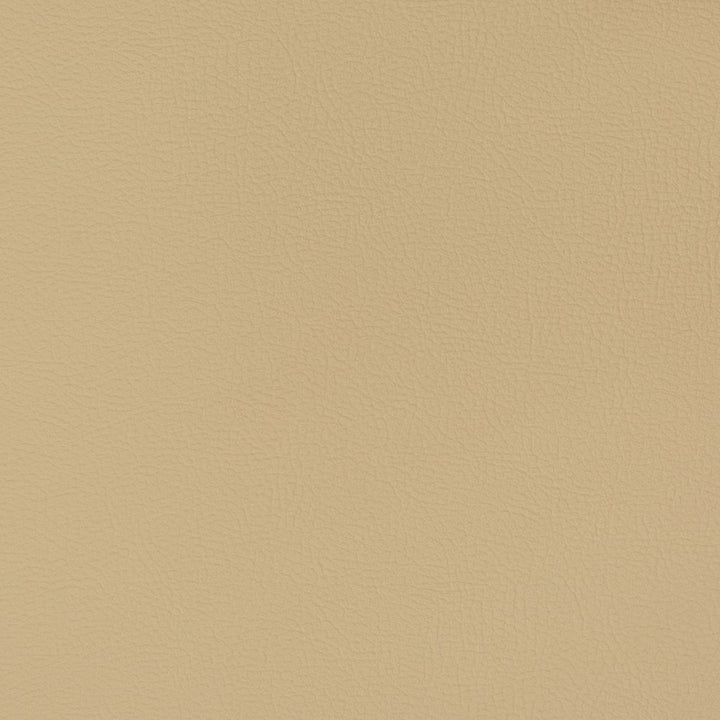 V368 Barley by Charlotte Fabric Automotive Vinyl 100% Vinyl, 30oz. Asia Exceeds 220,000 Wyzenbeek Rubs (Heavy Duty) </p><p>Repeat: No Repeat 54 Inches - Fabric Carolina -