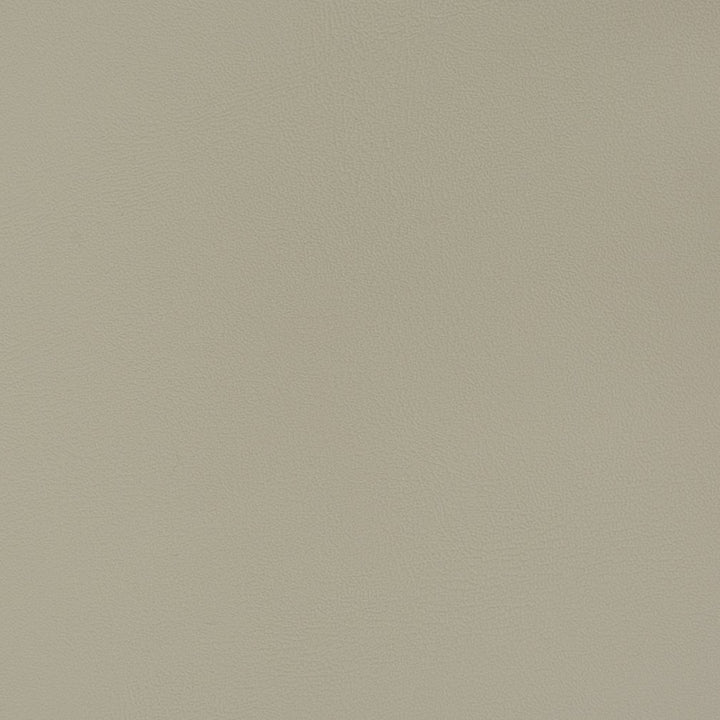 V371 Moonstone by Charlotte Fabric Automotive Vinyl 100% Vinyl, 30oz. Asia Exceeds 220,000 Wyzenbeek Rubs (Heavy Duty) </p><p>Repeat: No Repeat 54 Inches - Fabric Carolina -