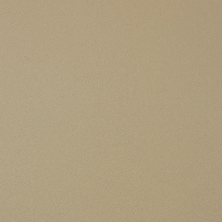 V372 Bisque by Charlotte Fabric Automotive Vinyl 100% Vinyl, 30oz. Asia Exceeds 220,000 Wyzenbeek Rubs (Heavy Duty) </p><p>Repeat: No Repeat 54 Inches - Fabric Carolina -