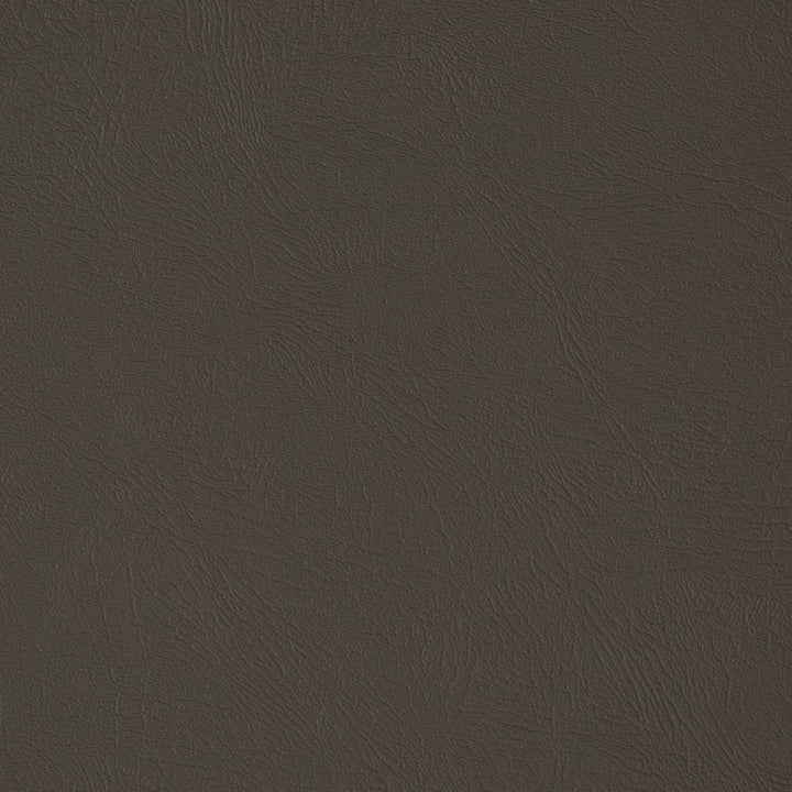 V373 Iron by Charlotte Fabric Automotive Vinyl 100% Virgin Vinyl, 30oz. Asia Exceeds 220,000 Wyzenbeek Rubs (Heavy Duty) No Repeat 54 Inches - Fabric Carolina -