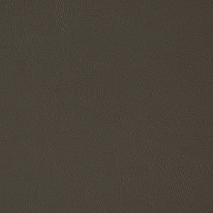 V373 Iron by Charlotte Fabric