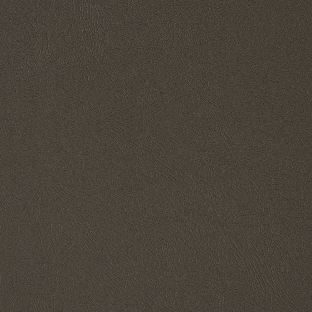 V373 Iron by Charlotte Fabric Automotive Vinyl 100% Vinyl, 30oz. Asia Exceeds 220,000 Wyzenbeek Rubs (Heavy Duty) </p><p>Repeat: No Repeat 54 Inches - Fabric Carolina -