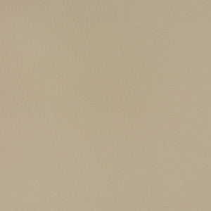 V374 Mushroom by Charlotte Fabric