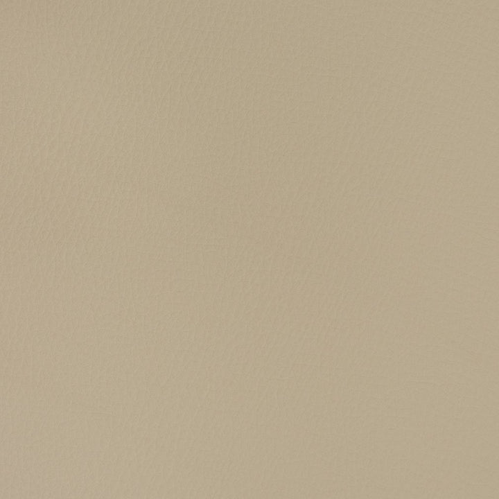 V374 Mushroom by Charlotte Fabric Automotive Vinyl 100% Vinyl, 30oz. Asia Exceeds 220,000 Wyzenbeek Rubs (Heavy Duty) </p><p>Repeat: No Repeat 54 Inches - Fabric Carolina -