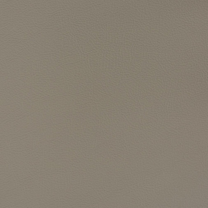 V376 Mineral by Charlotte Fabric Automotive Vinyl 100% Vinyl, 30oz. Asia Exceeds 220,000 Wyzenbeek Rubs (Heavy Duty) </p><p>Repeat: 54 Inches - Fabric Carolina -