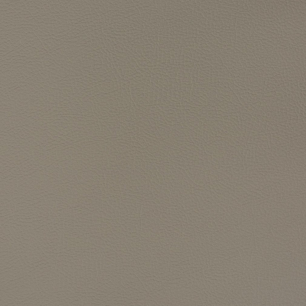 V376 Mineral by Charlotte Fabric Automotive Vinyl 100% Virgin Vinyl, 30oz. Asia Exceeds 220,000 Wyzenbeek Rubs (Heavy Duty) No Repeat 54 Inches - Fabric Carolina -