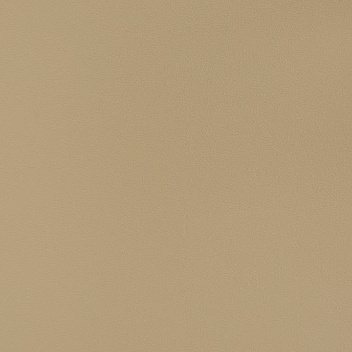 V379 Beige by Charlotte Fabric Automotive Vinyl 100% Virgin Vinyl, 30oz. Asia Exceeds 220,000 Wyzenbeek Rubs (Heavy Duty) No Repeat 54 Inches - Fabric Carolina -