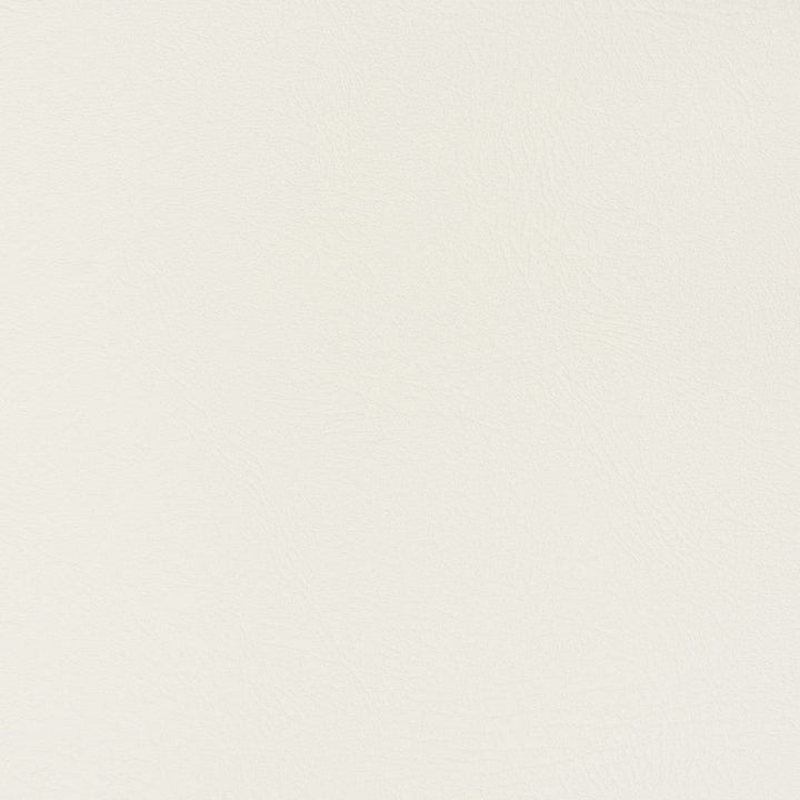 V381 Snow by Charlotte Designer Fabric Automotive Vinyl 100% Virgin Vinyl, 30oz. Asia Exceeds 220,000 Wyzenbeek Rubs (Heavy Duty) No Repeat 54 Inches - Swanky Fabrics -