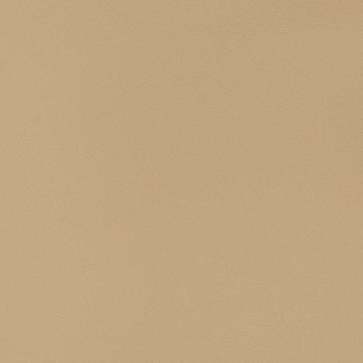 V382 Latte by Charlotte Designer Fabric Automotive Vinyl 100% Virgin Vinyl, 30oz. Asia Exceeds 220,000 Wyzenbeek Rubs (Heavy Duty) No Repeat 54 Inches - Swanky Fabrics -