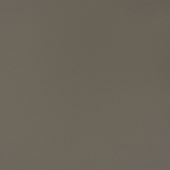 V388 Titanium by Charlotte Fabric Automotive Vinyl 100% Virgin Vinyl, 30oz. Asia Exceeds 220,000 Wyzenbeek Rubs (Heavy Duty) No Repeat 54 Inches - Fabric Carolina -