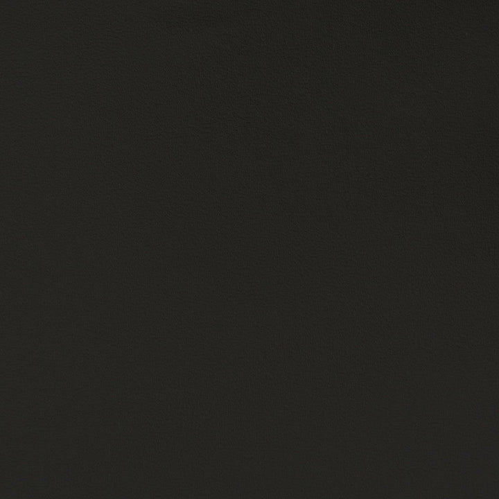 V390 Black by Charlotte Designer Fabric Automotive Vinyl 100% Vinyl, 30oz. Asia Exceeds 220,000 Wyzenbeek Rubs (Heavy Duty) </p><p>Repeat: 54 Inches - Swanky Fabrics -