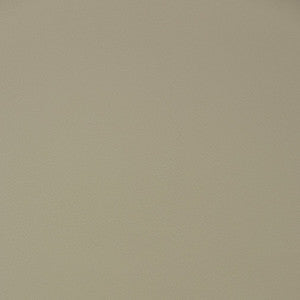 V391 Putty by Charlotte Fabric