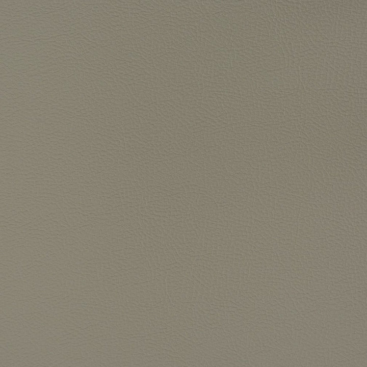 V392 Fossil by Charlotte Fabric Automotive Vinyl 100% Vinyl, 30oz. Asia Exceeds 220,000 Wyzenbeek Rubs (Heavy Duty) </p><p>Repeat: No Repeat 54 Inches - Fabric Carolina -