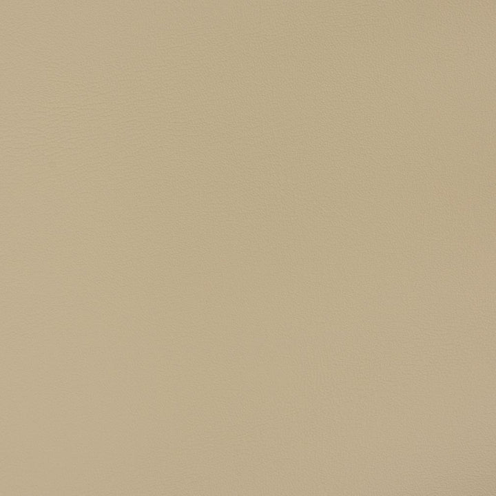 V393 Taupe by Charlotte Fabric Automotive Vinyl 100% Virgin Vinyl, 30oz. Asia Exceeds 220,000 Wyzenbeek Rubs (Heavy Duty) No Repeat 54 Inches - Fabric Carolina -