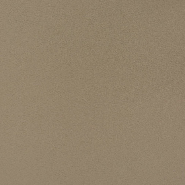 V394 Greige by Charlotte Fabric Automotive Vinyl 100% Virgin Vinyl, 30oz. Asia Exceeds 220,000 Wyzenbeek Rubs (Heavy Duty) No Repeat 54 Inches - Fabric Carolina -