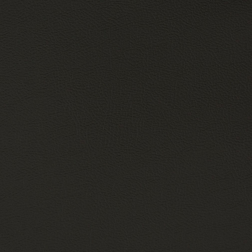 V395 Ebony by Charlotte Fabric Automotive Vinyl 100% Vinyl, 30oz. Asia Exceeds 220,000 Wyzenbeek Rubs (Heavy Duty) </p><p>Repeat: 54 Inches - Fabric Carolina -