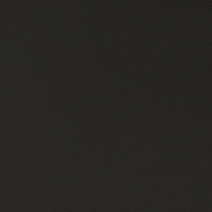 V395 Ebony by Charlotte Fabric Automotive Vinyl 100% Vinyl, 30oz. Asia Exceeds 220,000 Wyzenbeek Rubs (Heavy Duty) </p><p>Repeat: 54 Inches - Fabric Carolina -