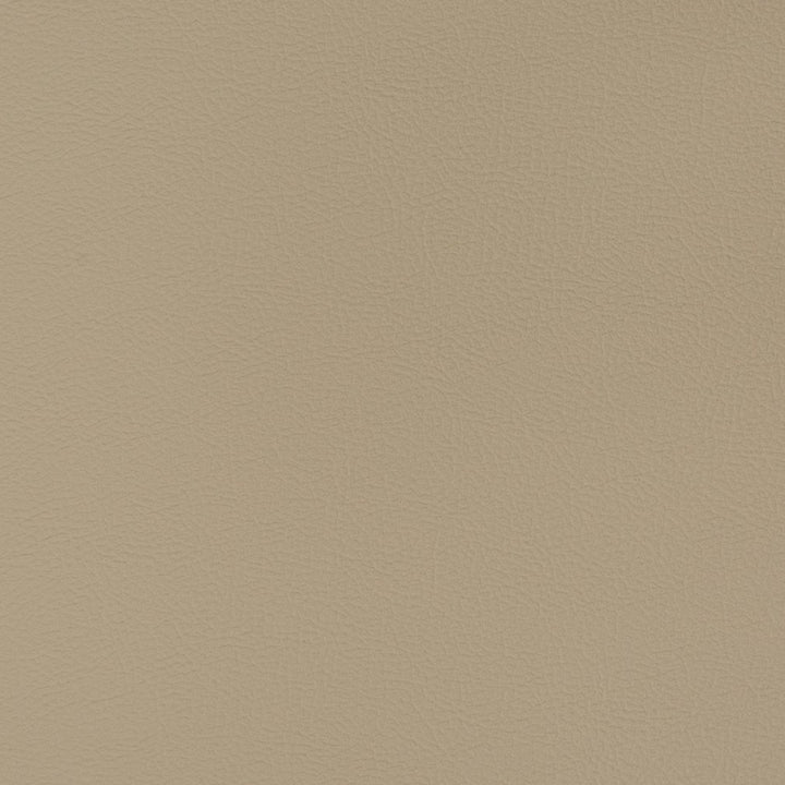 V396 Dove by Charlotte Fabric Automotive Vinyl 100% Vinyl, 30oz. Asia Exceeds 220,000 Wyzenbeek Rubs (Heavy Duty) </p><p>Repeat: No Repeat 54 Inches - Fabric Carolina -