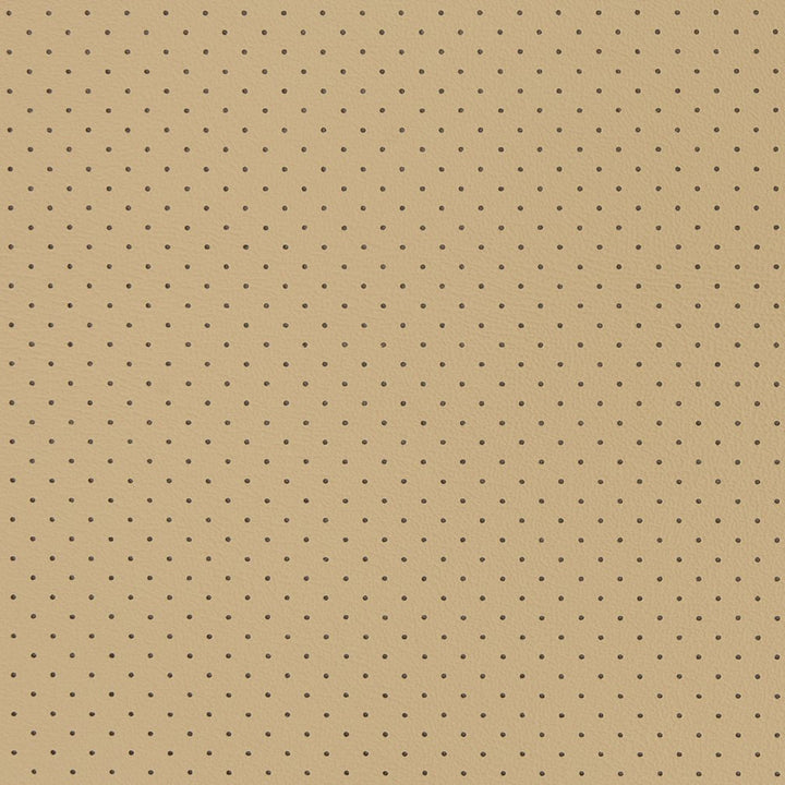 V400 Taupe Perforated by Charlotte Fabric Automotive Vinyl 100% Vinyl, 30oz. Asia Exceeds 220,000 Wyzenbeek Rubs (Heavy Duty) </p><p>Repeat: No Repeat 54 Inches - Fabric Carolina -