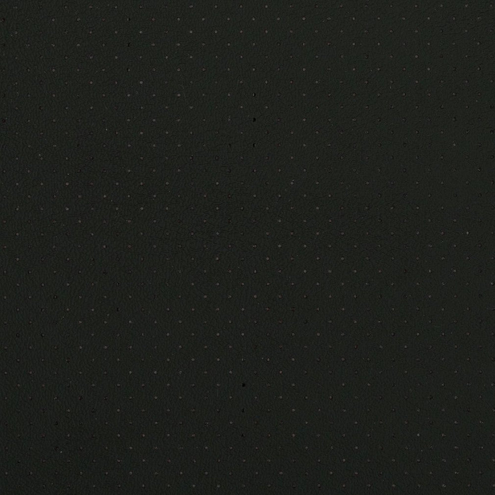V402 Ebony Perforated by Charlotte Fabric Automotive Vinyl 100% Vinyl, 30oz. Asia Exceeds 220,000 Wyzenbeek Rubs (Heavy Duty) </p><p>Repeat: No Repeat 54 Inches - Fabric Carolina -