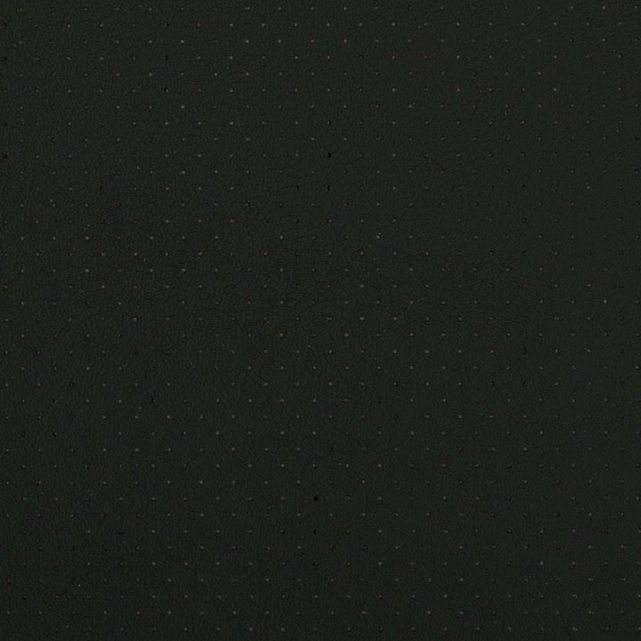 V402 Ebony Perforated by Charlotte Fabric Automotive Vinyl 100% Vinyl, 30oz. Asia Exceeds 220,000 Wyzenbeek Rubs (Heavy Duty) </p><p>Repeat: No Repeat 54 Inches - Fabric Carolina -