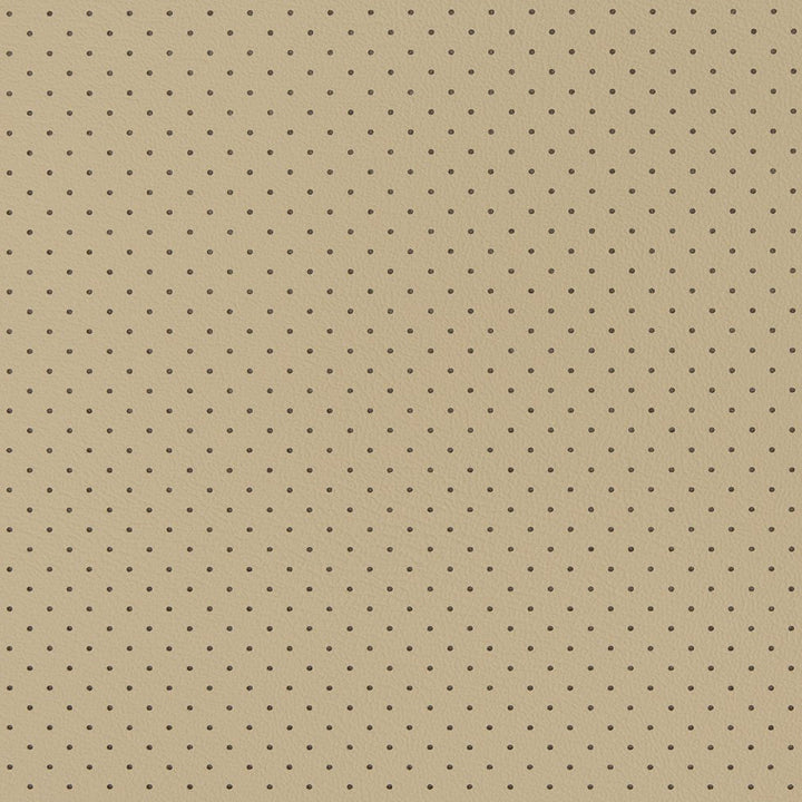 V404 Sandstone Perforated by Charlotte Designer Fabric Automotive Vinyl 100% Virgin Vinyl, 30oz. Asia Exceeds 220,000 Wyzenbeek Rubs (Heavy Duty) No Repeat 54 Inches - Swanky Fabrics -