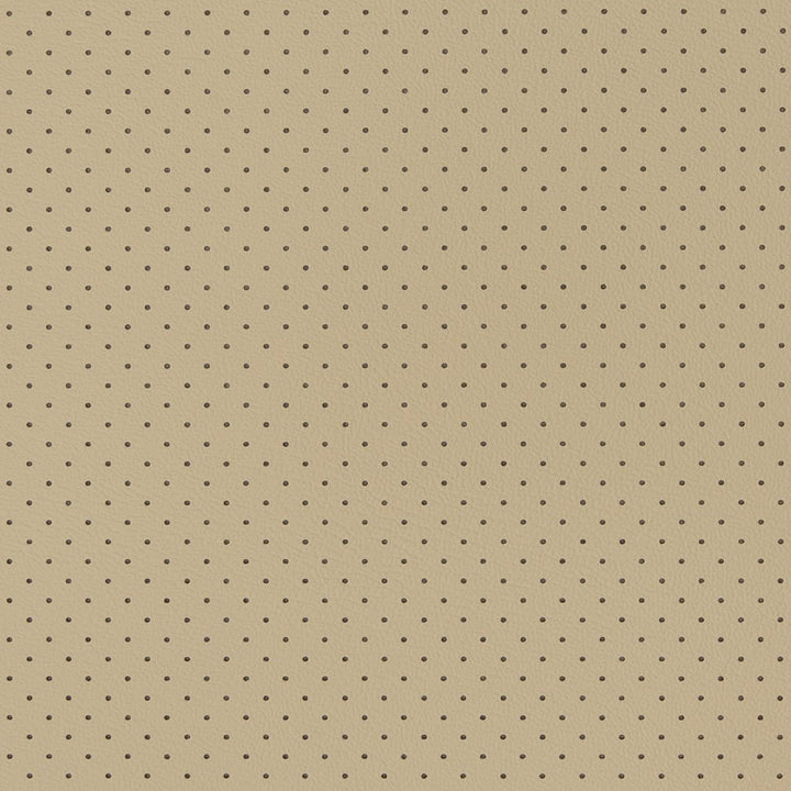V404 Sandstone Perforated by Charlotte Fabric Automotive Vinyl 100% Virgin Vinyl, 30oz. Asia Exceeds 220,000 Wyzenbeek Rubs (Heavy Duty) No Repeat 54 Inches - Fabric Carolina -