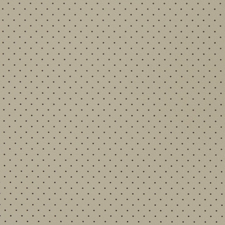 V405 Stone Perforated by Charlotte Fabric Automotive Vinyl 100% Vinyl, 30oz. Asia Exceeds 220,000 Wyzenbeek Rubs (Heavy Duty) </p><p>Repeat: No Repeat 54 Inches - Fabric Carolina -
