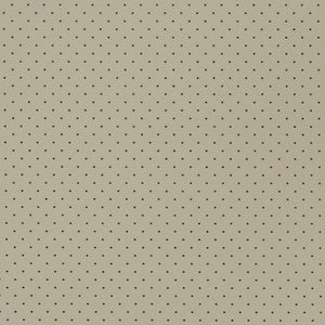 V405 Stone Perforated by Charlotte Fabric