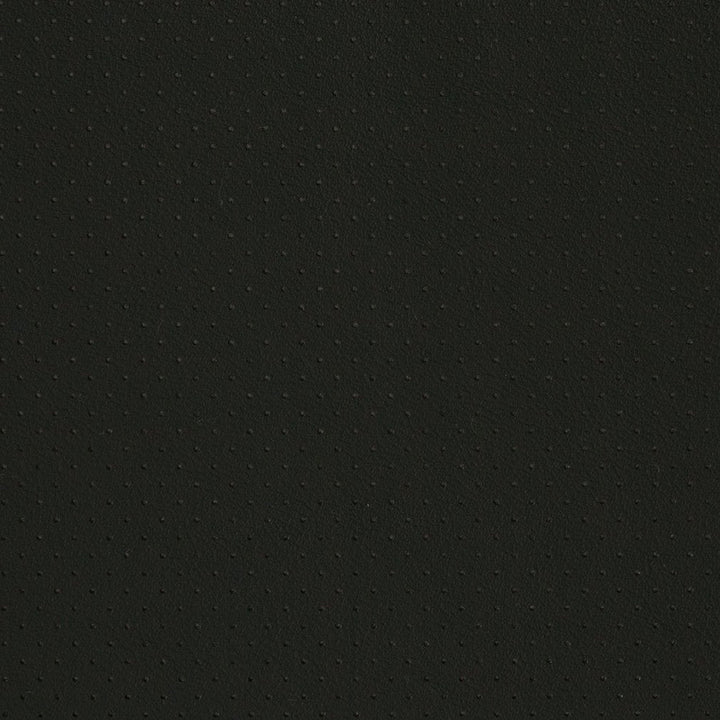 V406 Black Perforated by Charlotte Designer Fabric Automotive Vinyl 100% Vinyl, 30oz. Asia Exceeds 220,000 Wyzenbeek Rubs (Heavy Duty) </p><p>Repeat: 54 Inches - Swanky Fabrics -