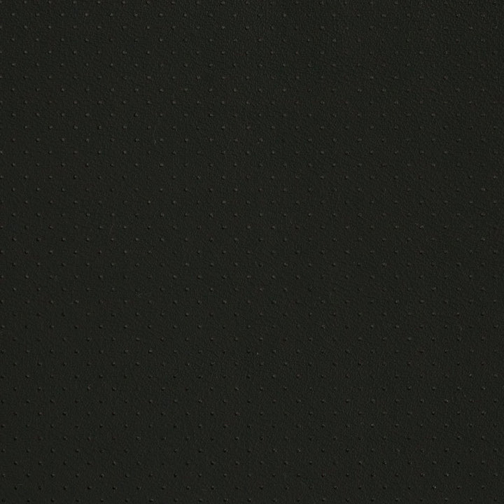 V406 Black Perforated by Charlotte Fabric Automotive Vinyl 100% Virgin Vinyl, 30oz. Asia Exceeds 220,000 Wyzenbeek Rubs (Heavy Duty) No Repeat 54 Inches - Fabric Carolina -