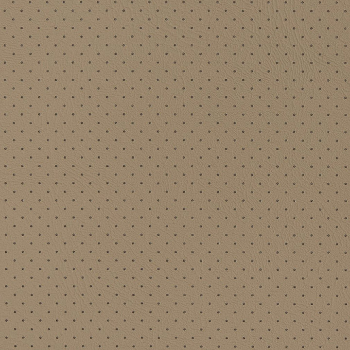 V407 Fawn Perforated by Charlotte Designer Fabric Automotive Vinyl 100% Virgin Vinyl, 30oz. Asia Exceeds 220,000 Wyzenbeek Rubs (Heavy Duty) No Repeat 54 Inches - Swanky Fabrics -
