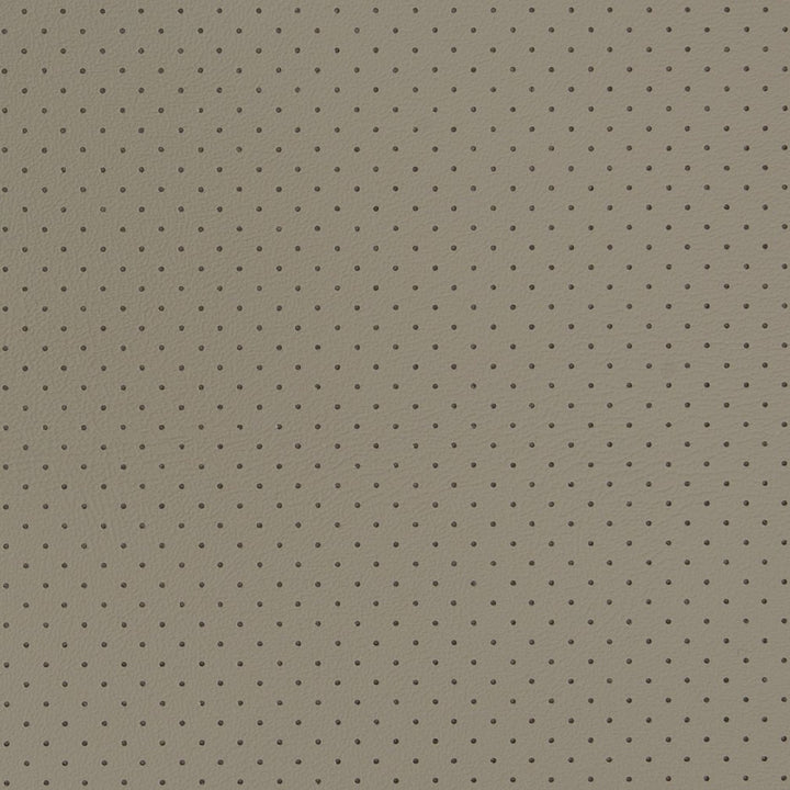 V410 Grey Perforated by Charlotte Fabric Automotive Vinyl 100% Virgin Vinyl, 30oz. Asia Exceeds 220,000 Wyzenbeek Rubs (Heavy Duty) No Repeat 54 Inches - Fabric Carolina -