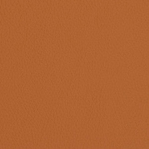 V427 Burnt Sienna by Charlotte Fabric