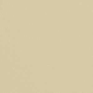 V428 Ivory by Charlotte Fabric