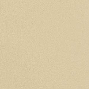 V428 Ivory by Charlotte Fabric