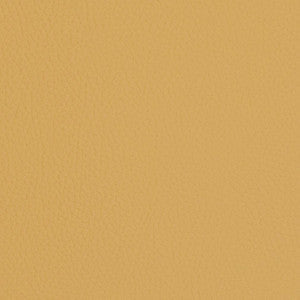 V429 Sand Dollar by Charlotte Fabric