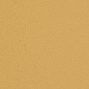 V429 Sand Dollar by Charlotte Fabric