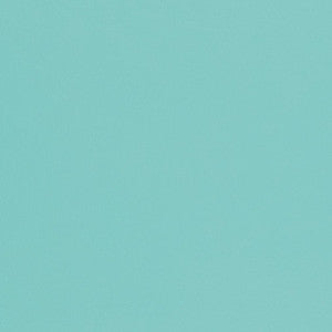 V431 Aqua by Charlotte Fabric