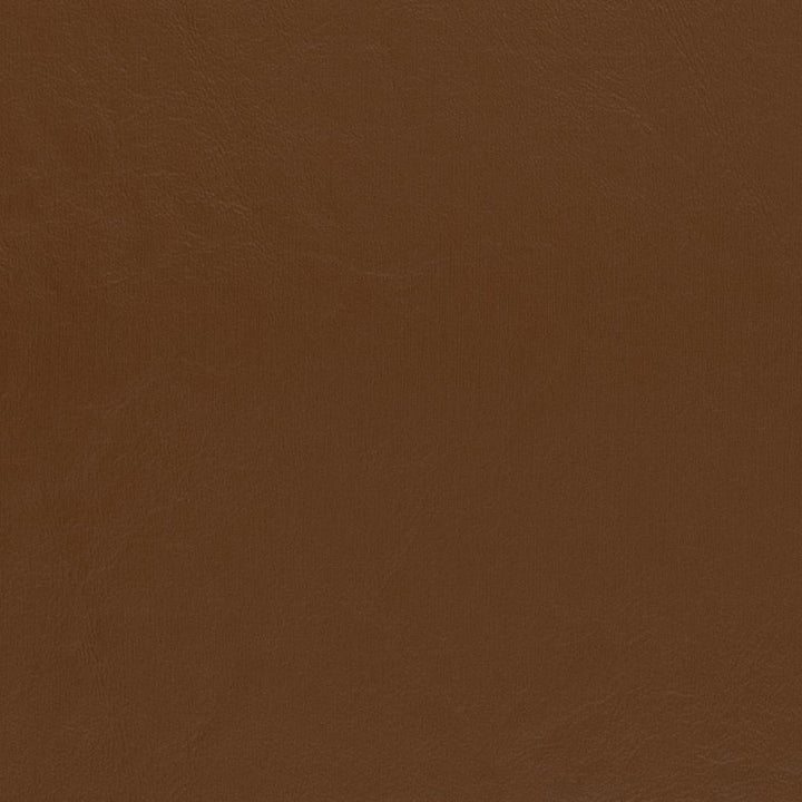 V434 Pecan by Charlotte Fabric Marine Vinyl 100% Virgin Vinyl, 33oz. Asia Exceeds 220,000 Wyzenbeek Rubs (Heavy Duty) No Repeat 54 Inches - Fabric Carolina -