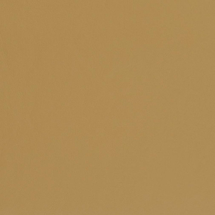 V436 Sand Dune by Charlotte Designer Fabric Marine Vinyl 100% Virgin Vinyl, 33oz. Asia Exceeds 220,000 Wyzenbeek Rubs (Heavy Duty) No Repeat 54 Inches - Swanky Fabrics -