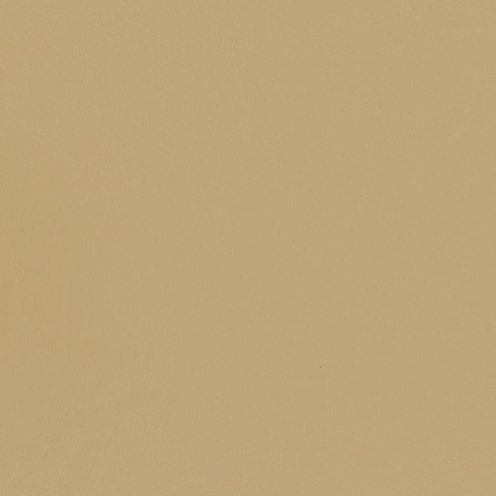 V440 Sand by Charlotte Fabric Marine Vinyl 100% Virgin Vinyl, 33oz. Asia Exceeds 220,000 Wyzenbeek Rubs (Heavy Duty) No Repeat 54 Inches - Fabric Carolina -