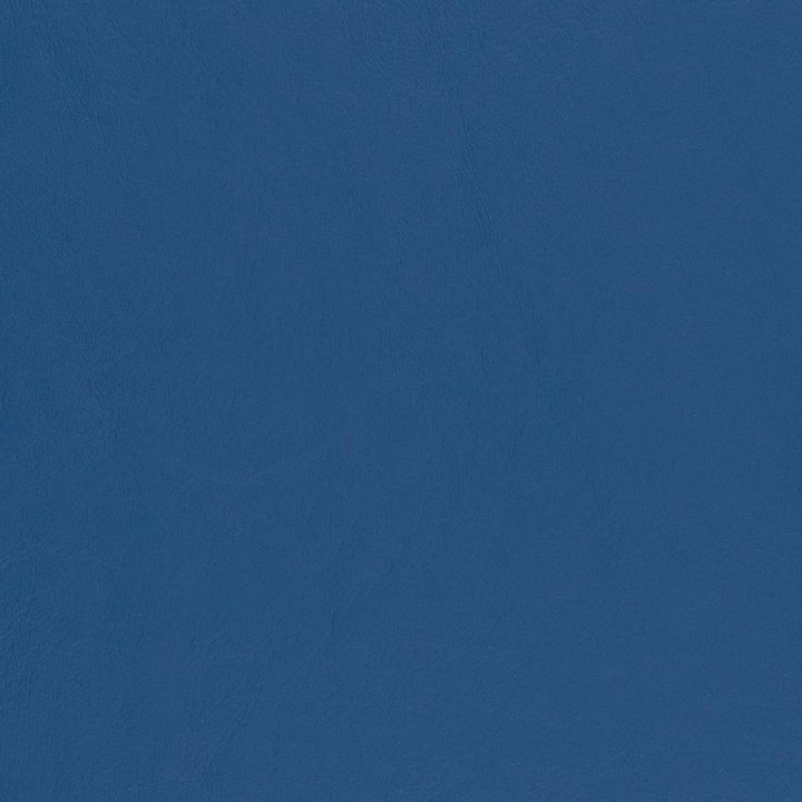 V441 Pacific by Charlotte Fabric Marine Vinyl 100% Virgin Vinyl, 33oz. Asia Exceeds 220,000 Wyzenbeek Rubs (Heavy Duty) No Repeat 54 Inches - Fabric Carolina -