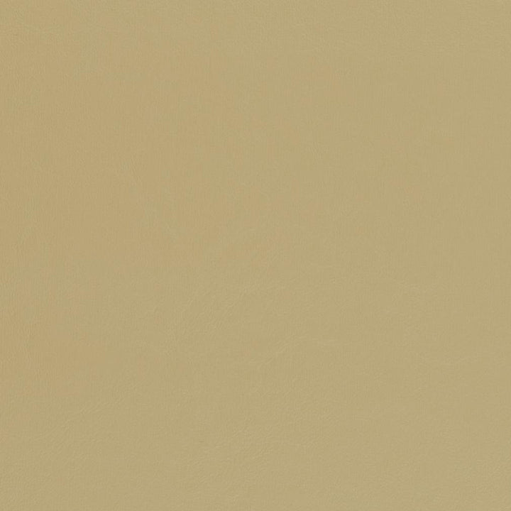 V444 Beach by Charlotte Fabric Marine Vinyl 100% Virgin Vinyl, 33oz. Asia Exceeds 220,000 Wyzenbeek Rubs (Heavy Duty) No Repeat 54 Inches - Fabric Carolina -