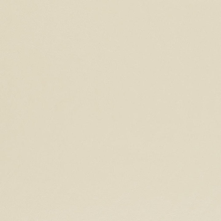 V446 Chalk by Charlotte Designer Fabric Marine Vinyl 100% Virgin Vinyl, 33oz. Asia Exceeds 220,000 Wyzenbeek Rubs (Heavy Duty) No Repeat 54 Inches - Swanky Fabrics -